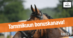 TotoTV tammikuu bonuskanava
